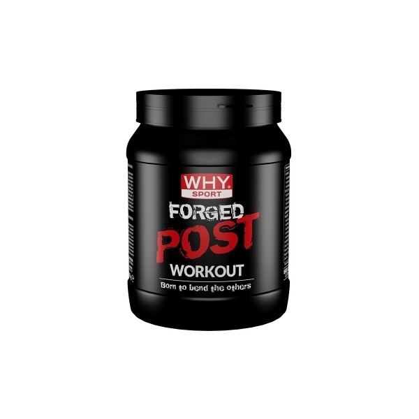 Forged Post Workout 600g